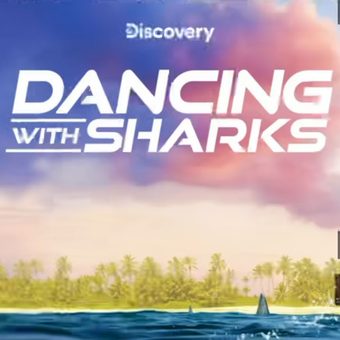 Dancing with Sharks